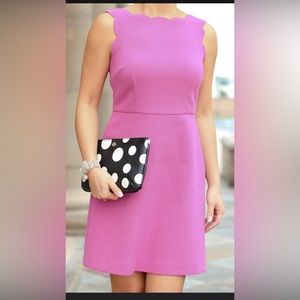 Loft Summer Scallop Dress in Magenta